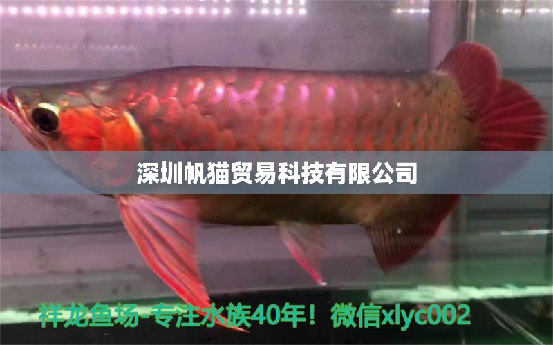 深圳帆猫贸易科技有限公司 全国水族馆企业名录