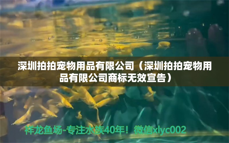 深圳拍拍宠物用品有限公司（深圳拍拍宠物用品有限公司商标无效宣告） 全国水族馆企业名录