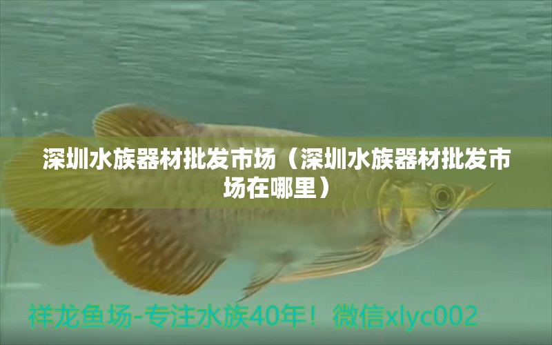 深圳水族器材批发市场（深圳水族器材批发市场在哪里）