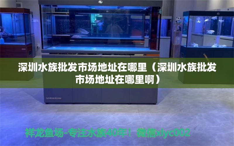 深圳水族批发市场地址在哪里（深圳水族批发市场地址在哪里啊）