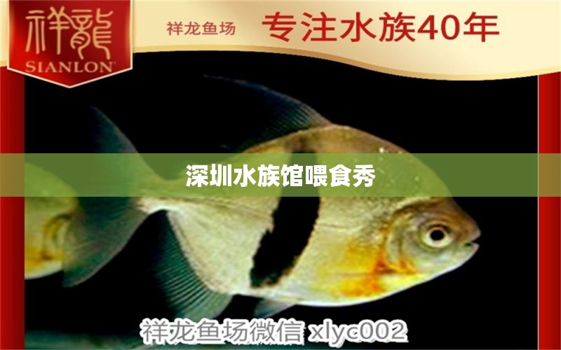 深圳水族馆喂食秀 祥龙龙鱼鱼粮 第2张