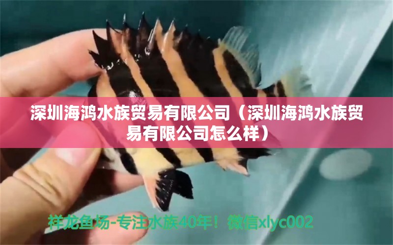 深圳海鸿水族贸易有限公司（深圳海鸿水族贸易有限公司怎么样）