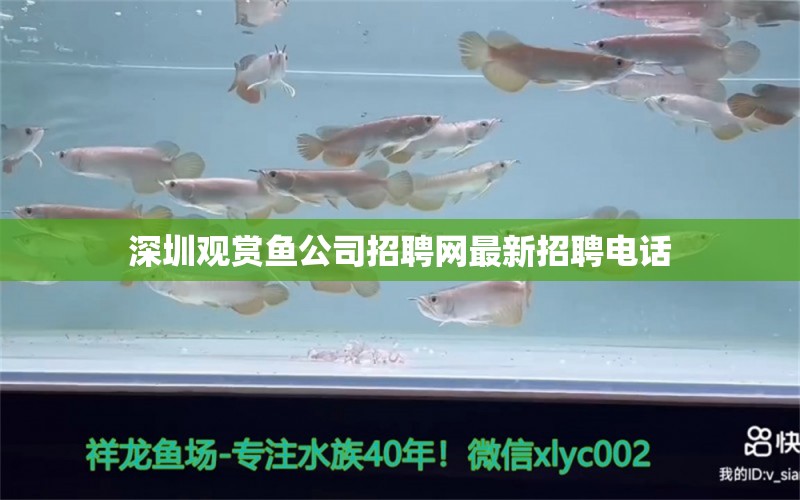 深圳观赏鱼公司招聘网最新招聘电话