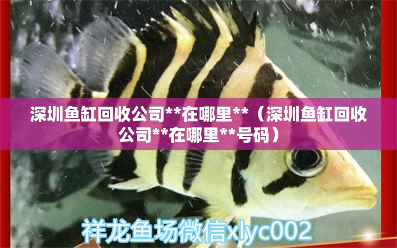 深圳鱼缸回收公司**在哪里**（深圳鱼缸回收公司**在哪里**号码） 祥龙水族医院