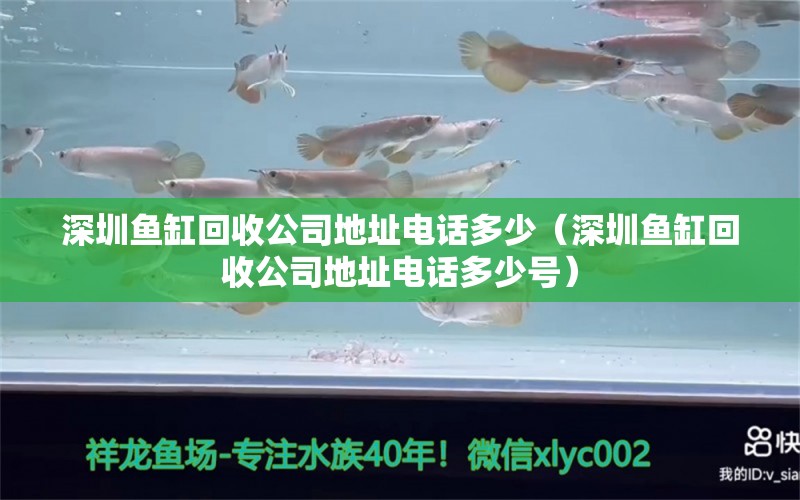 深圳鱼缸回收公司地址电话多少（深圳鱼缸回收公司地址电话多少号） 观赏鱼市场（混养鱼）