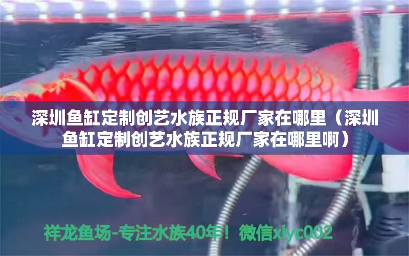 深圳鱼缸定制创艺水族正规厂家在哪里（深圳鱼缸定制创艺水族正规厂家在哪里啊）