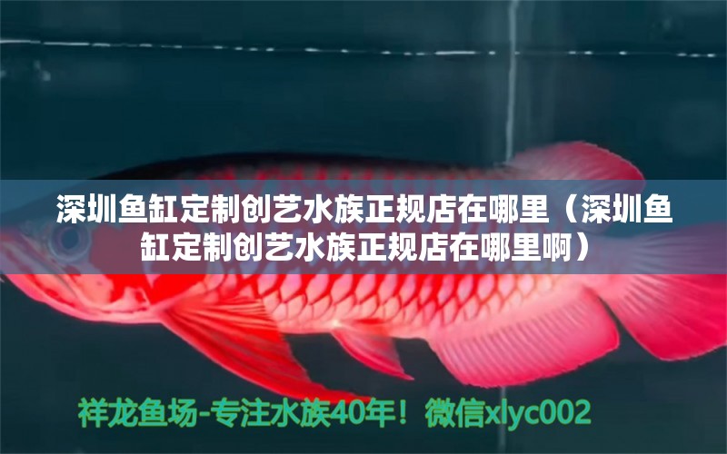 深圳鱼缸定制创艺水族正规店在哪里（深圳鱼缸定制创艺水族正规店在哪里啊）