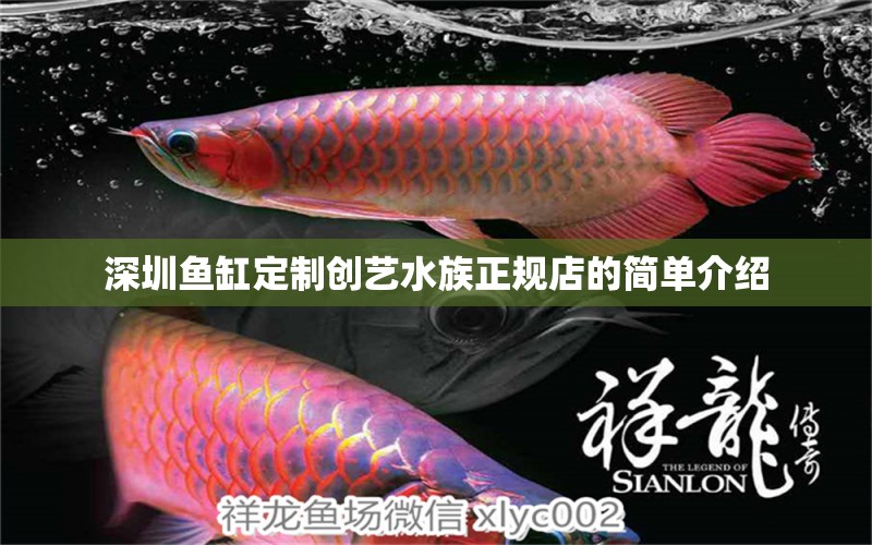 深圳鱼缸定制创艺水族正规店的简单介绍 印尼红龙鱼