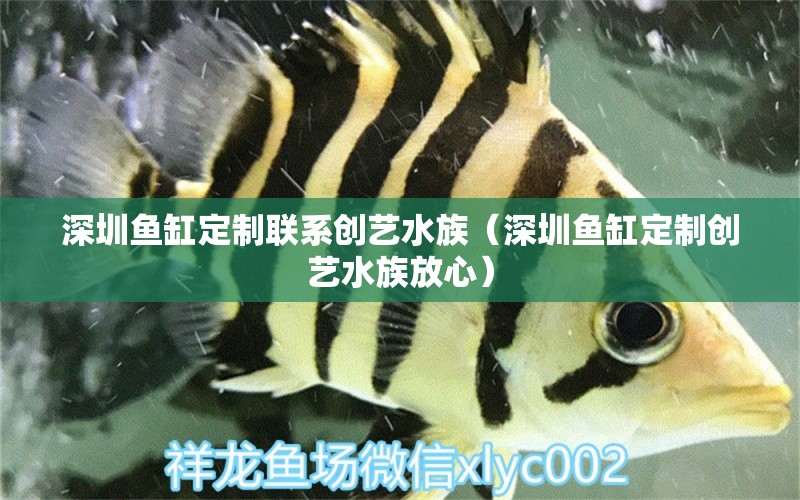 深圳鱼缸定制联系创艺水族（深圳鱼缸定制创艺水族放心） 祥龙水族医院