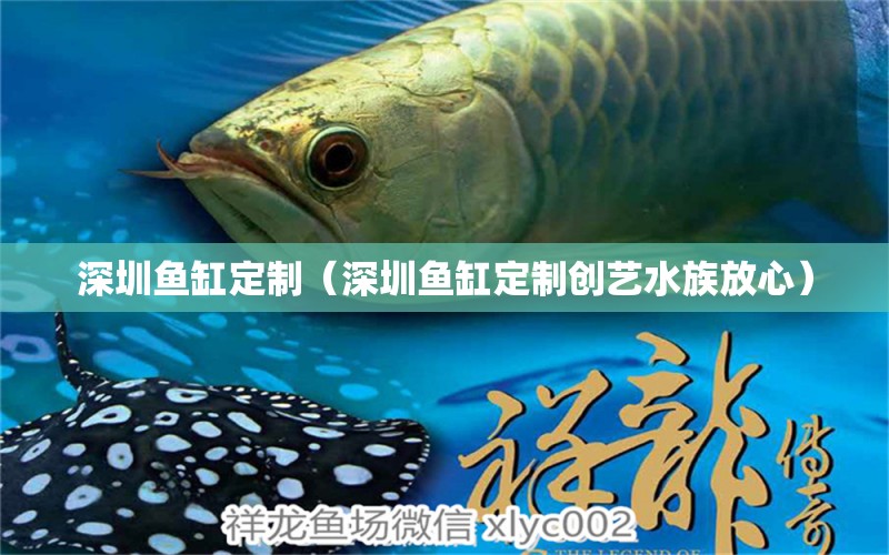 深圳鱼缸定制（深圳鱼缸定制创艺水族放心）