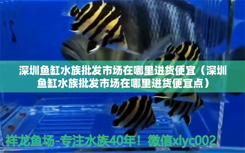 深圳鱼缸水族批发市场在哪里进货便宜（深圳鱼缸水族批发市场在哪里进货便宜点）