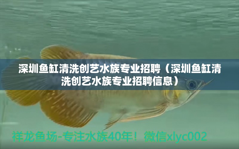 深圳鱼缸清洗创艺水族专业招聘（深圳鱼缸清洗创艺水族专业招聘信息）