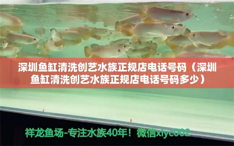 深圳鱼缸清洗创艺水族正规店电话号码（深圳鱼缸清洗创艺水族正规店电话号码多少）