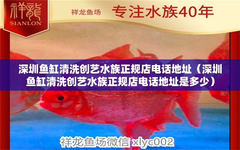 深圳鱼缸清洗创艺水族正规店电话地址（深圳鱼缸清洗创艺水族正规店电话地址是多少）