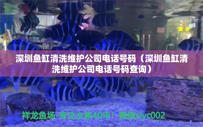 深圳鱼缸清洗维护公司电话号码（深圳鱼缸清洗维护公司电话号码查询） 祥龙鱼场其他产品