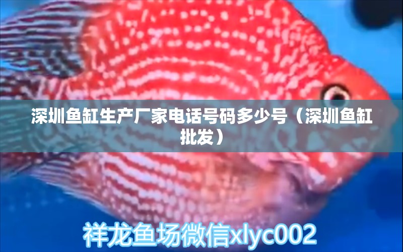 深圳鱼缸生产厂家电话号码多少号（深圳鱼缸批发） 祥龙水族滤材/器材 第1张