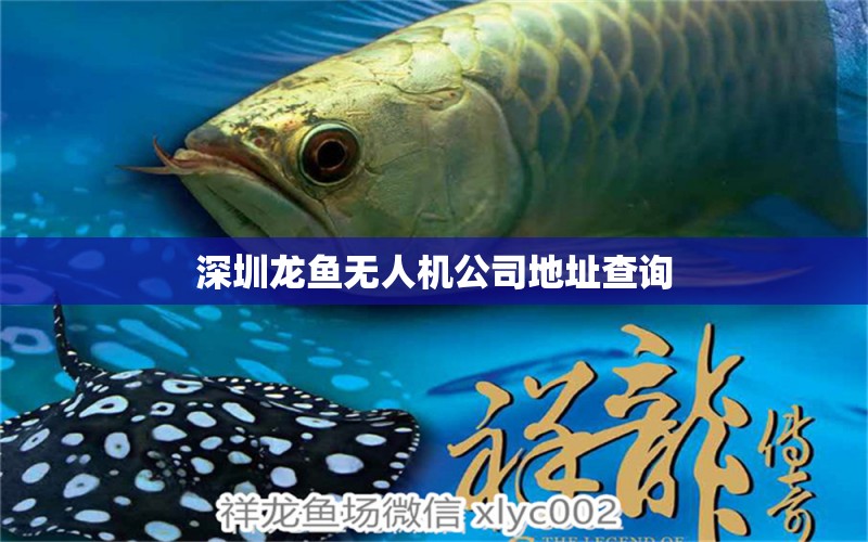 深圳龙鱼无人机公司地址查询 水族问答 第2张