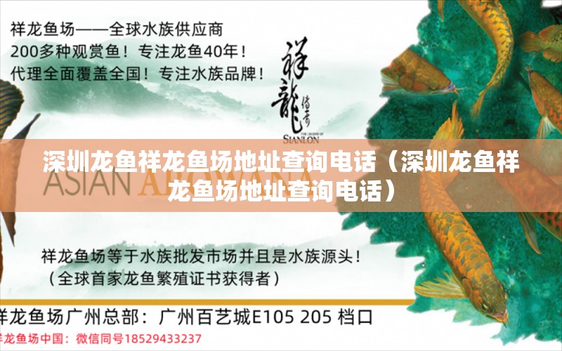 深圳龙鱼祥龙鱼场地址查询电话（深圳龙鱼祥龙鱼场地址查询电话）