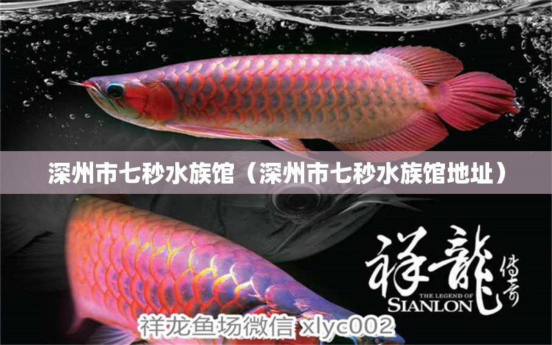 深州市七秒水族馆（深州市七秒水族馆地址）