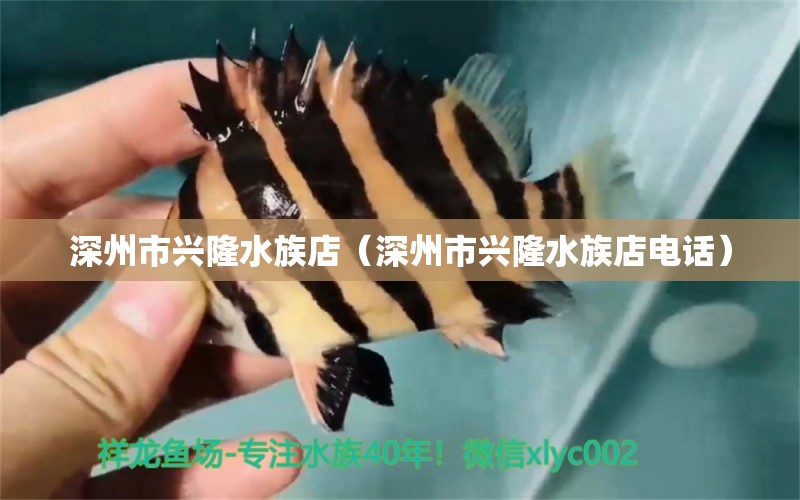 深州市兴隆水族店（深州市兴隆水族店电话） 全国水族馆企业名录