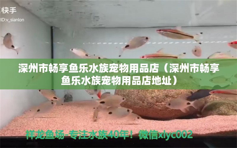 深州市畅享鱼乐水族宠物用品店（深州市畅享鱼乐水族宠物用品店地址）