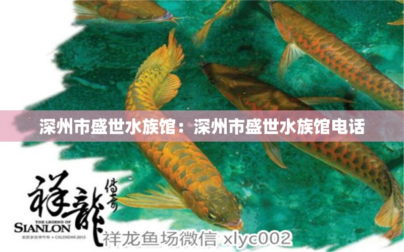 深州市盛世水族馆：深州市盛世水族馆电话 全国水族馆企业名录