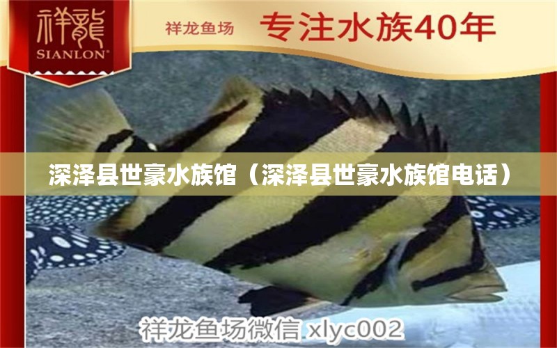 深泽县世豪水族馆（深泽县世豪水族馆电话）