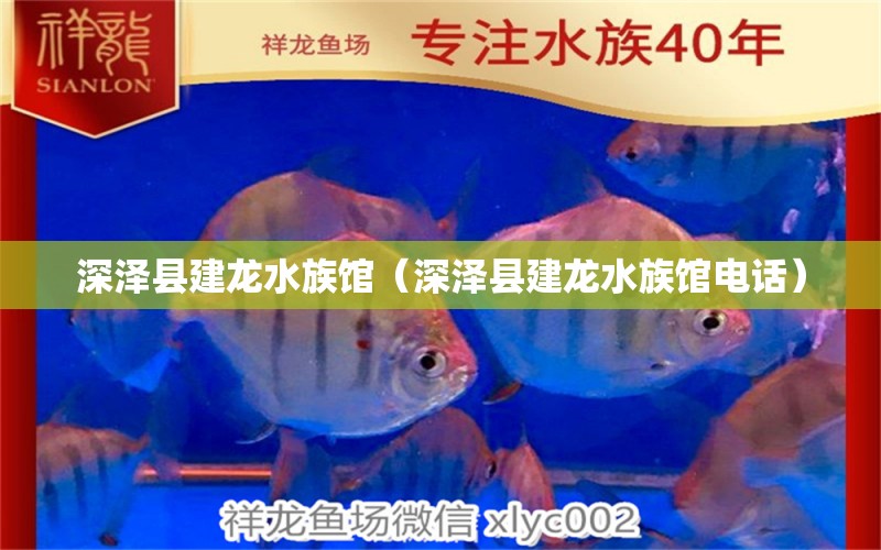 深泽县建龙水族馆（深泽县建龙水族馆电话）