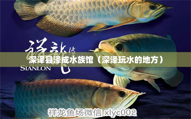 深泽县泽成水族馆（深泽玩水的地方） 全国水族馆企业名录