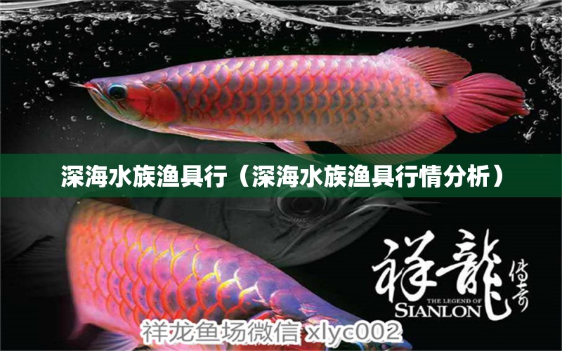 深海水族渔具行（深海水族渔具行情分析） 全国水族馆企业名录