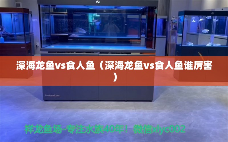 深海龙鱼vs食人鱼（深海龙鱼vs食人鱼谁厉害） 定时器/自控系统 第1张