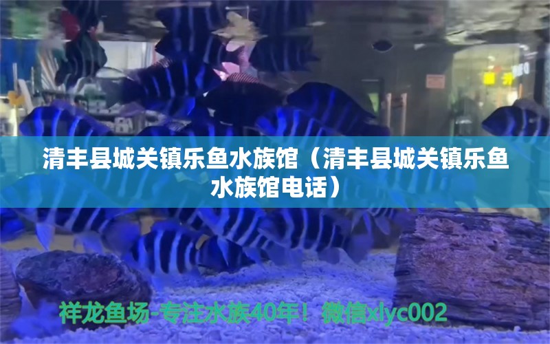 清丰县城关镇乐鱼水族馆（清丰县城关镇乐鱼水族馆电话）