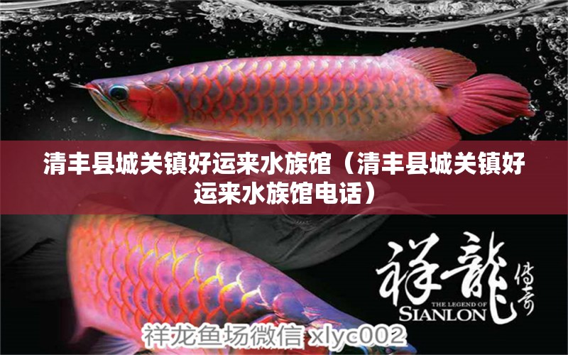 清丰县城关镇好运来水族馆（清丰县城关镇好运来水族馆电话）