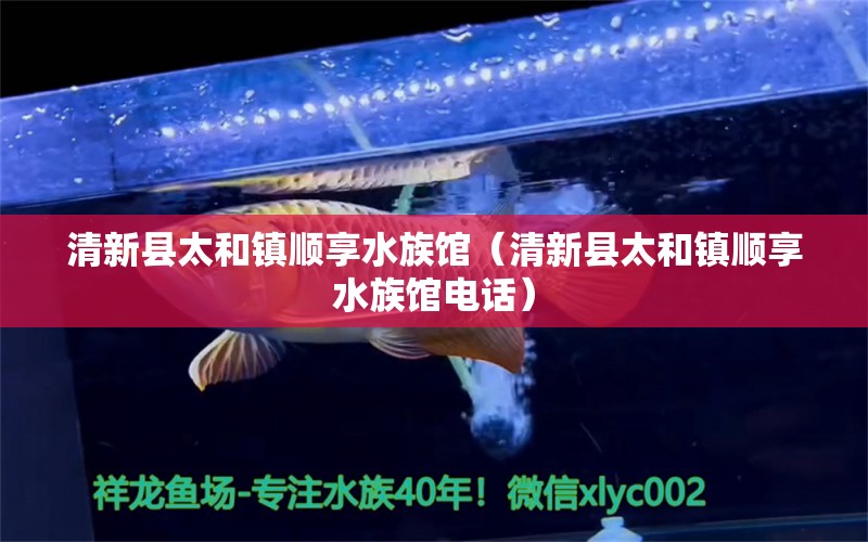 清新县太和镇顺享水族馆（清新县太和镇顺享水族馆电话） 全国水族馆企业名录