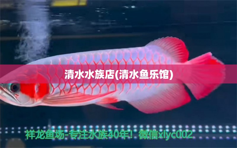 清水水族店(清水鱼乐馆)