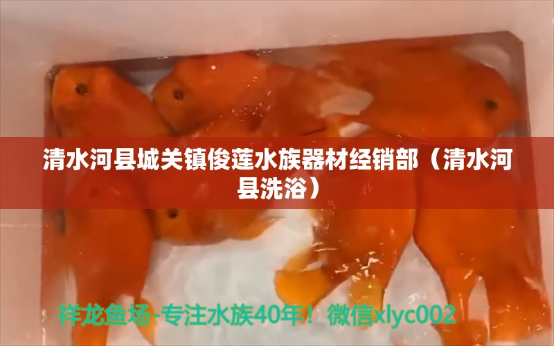 清水河县城关镇俊莲水族器材经销部（清水河县洗浴）