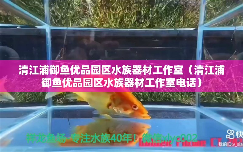 清江浦御鱼优品园区水族器材工作室（清江浦御鱼优品园区水族器材工作室电话） 全国水族馆企业名录