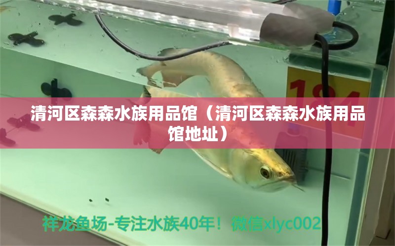 清河区森森水族用品馆（清河区森森水族用品馆地址）