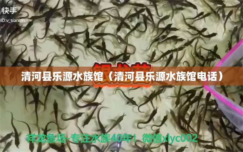 清河县乐源水族馆（清河县乐源水族馆电话）