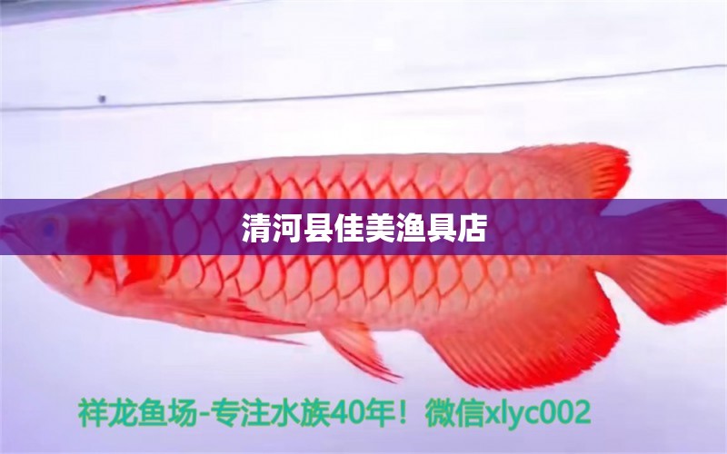 清河县佳美渔具店 全国水族馆企业名录