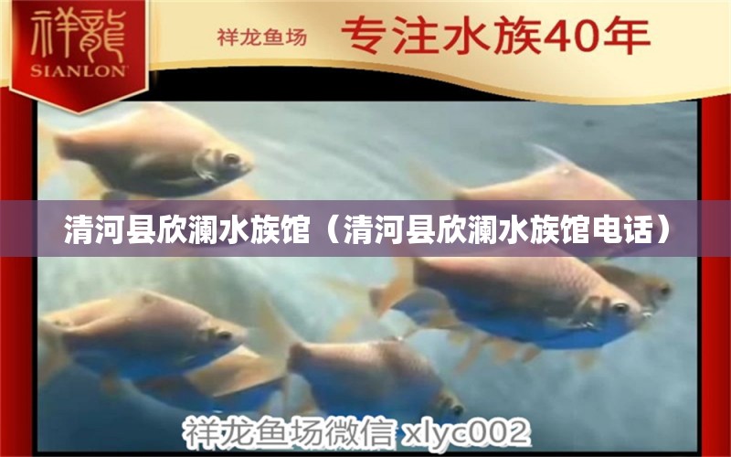 清河县欣澜水族馆（清河县欣澜水族馆电话）