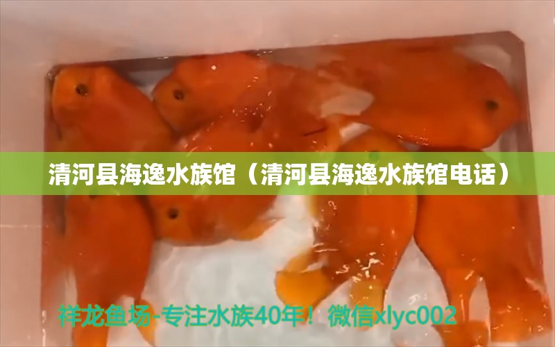 清河县海逸水族馆（清河县海逸水族馆电话） 全国水族馆企业名录