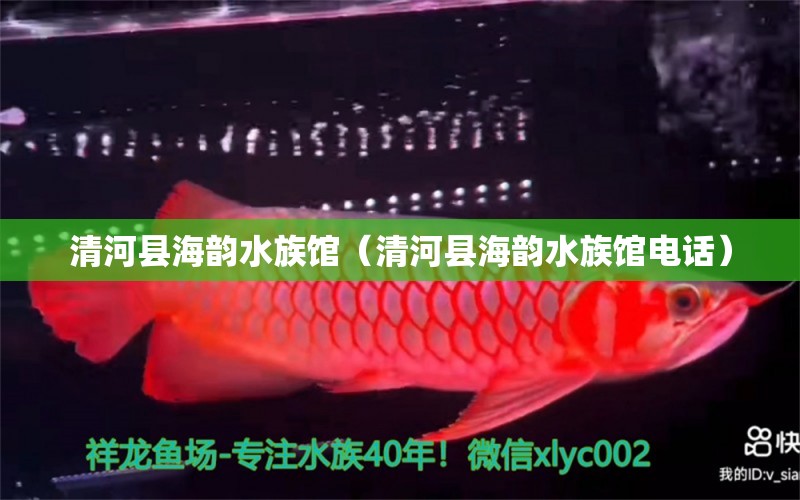 清河县海韵水族馆（清河县海韵水族馆电话）