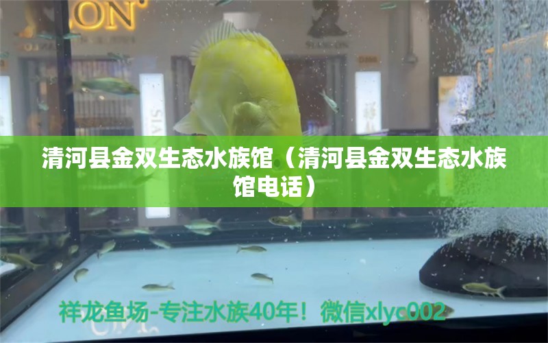 清河县金双生态水族馆（清河县金双生态水族馆电话）