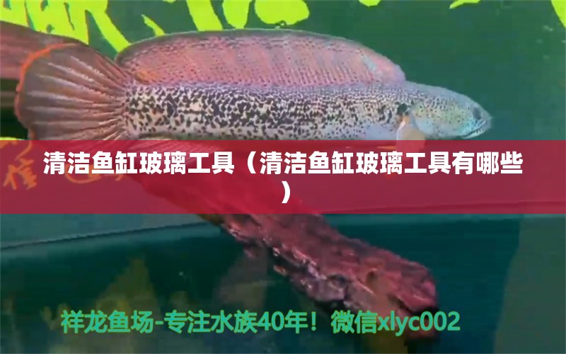 清洁鱼缸玻璃工具（清洁鱼缸玻璃工具有哪些） 祥龙水族医院