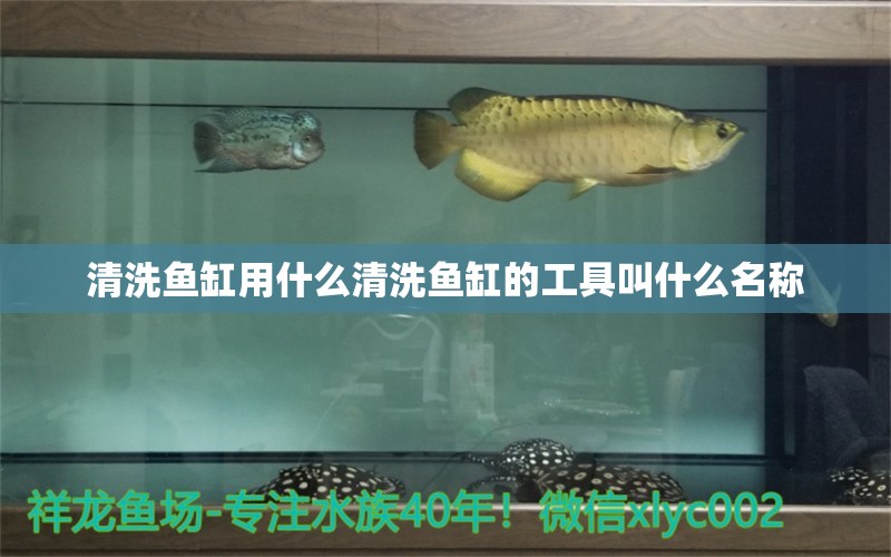 清洗鱼缸用什么清洗鱼缸的工具叫什么名称