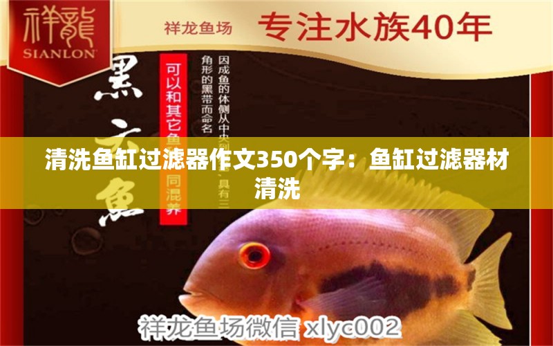 清洗鱼缸过滤器作文350个字：鱼缸过滤器材清洗