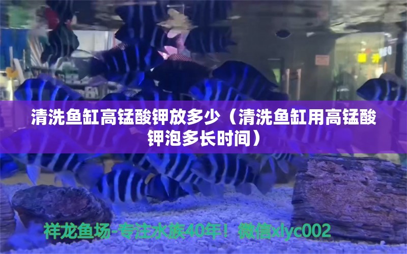 清洗鱼缸高锰酸钾放多少（清洗鱼缸用高锰酸钾泡多长时间） 广州观赏鱼批发市场