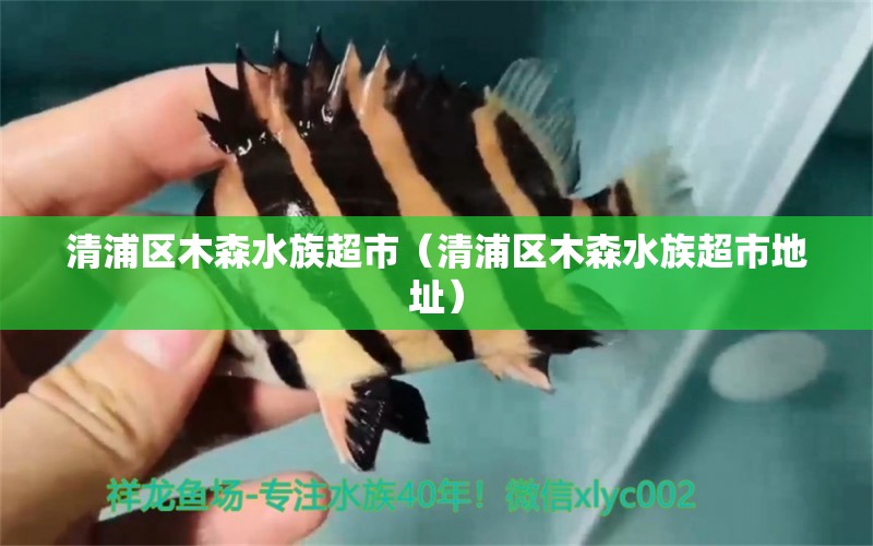 清浦区木森水族超市（清浦区木森水族超市地址） 全国水族馆企业名录