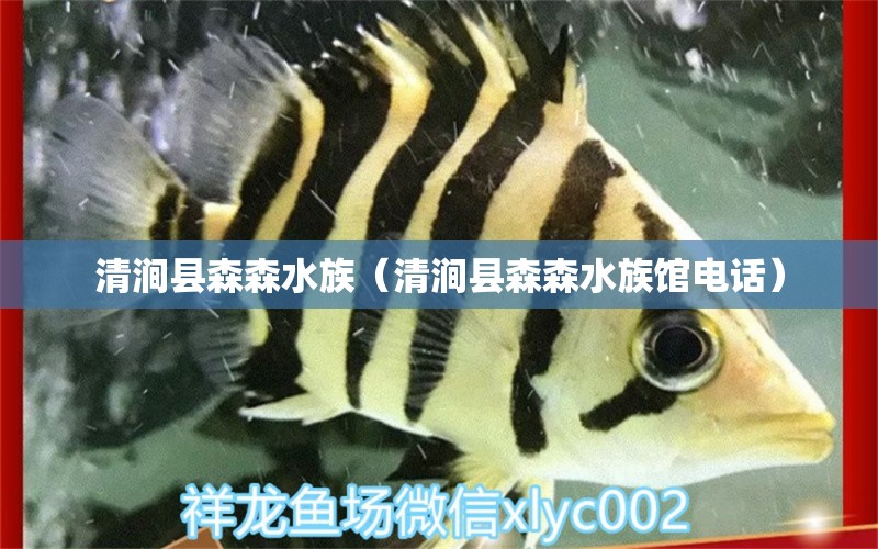 清涧县森森水族（清涧县森森水族馆电话）